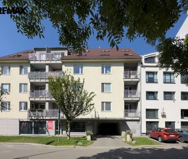Pronájem bytu 2+kk 65 m² - Fotografie 3
