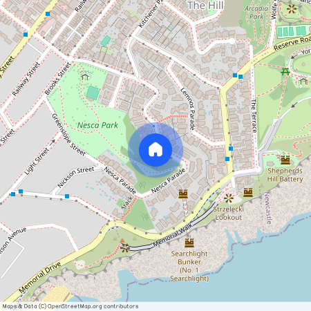 2/48 Nesca Parade, The Hill NSW 2300