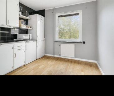 Avesta - 1rok - tillsv - 5.175kr/mån - Photo 3