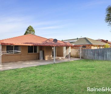 20 Gila Place, Springfield QLD 4300 - House For Rent - $600 | Domain - Photo 6