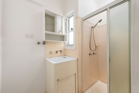 45 Railway Terrace, Lewisham NSW 2049 - House For Rent | Domain - Photo 4