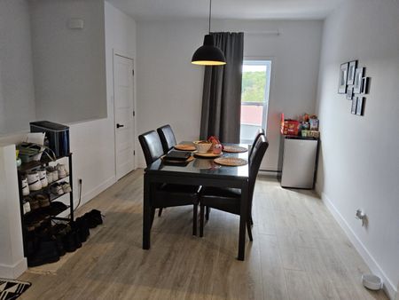 50 place Edmond-Aucoin Saint-Boniface - Photo 5