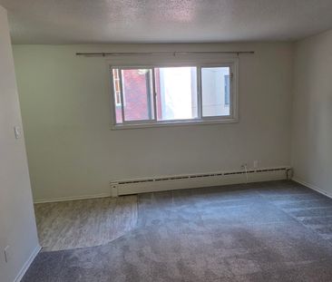 1 BDRM/1 BATH - 409 4TH AVE N - Available NOV 1ST - Photo 2