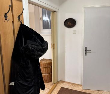 Pronájem bytu 1+1 v osobním vlastnictví 40 m², Brno - Fotografie 3
