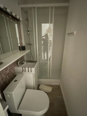 Location Appartement 1 pièce 18m² TOULOUSE 31400 - Photo 4