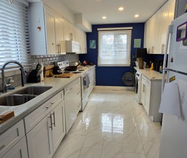 For Lease - 44 Elm Street, New Tecumseth, Ontario - Photo 4