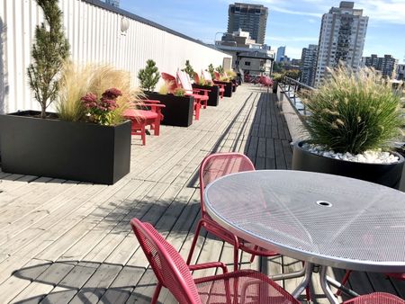 The White House - Photo 3