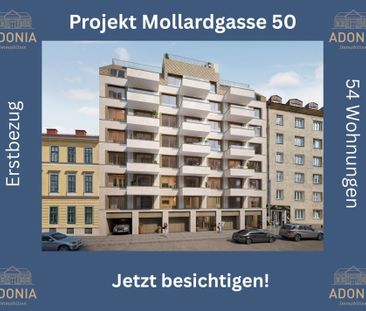 ++NEU++ fantastische 2-Zimmer-Wohnung mitten im Herzen der Stadt (3/4) - Photo 4