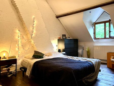 Duplex appartement met 2 slaapkamers te huur in Mechelen - Photo 5