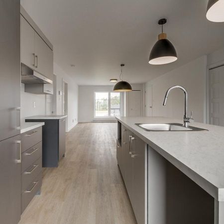 Appartement 4 1/2 à louer Pont-Rouge (condo, logement) - Photo 3