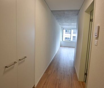 Modern 3-room apartment with large shared roof terrace - Photo 3