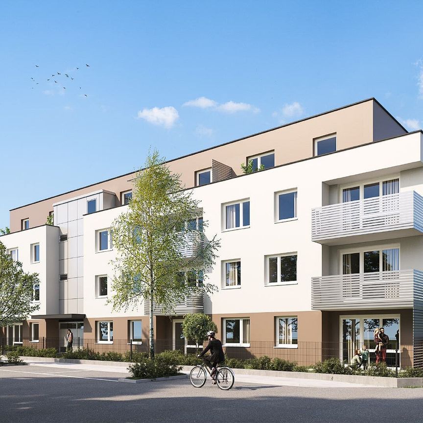 SCHEIBBS XXIII/1 - Foto 1
