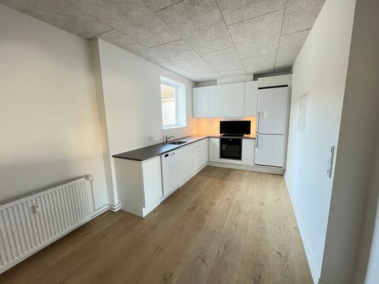 TOTAL renoveret lejlighed med tilladelse til husdyr - Photo 1