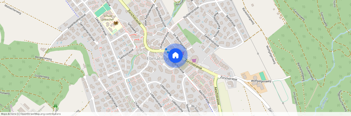 Zürichstrasse 115, 8123, Ebmatingen