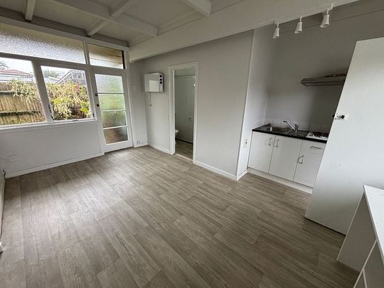 Completely refurbished studio unit - Photo 1