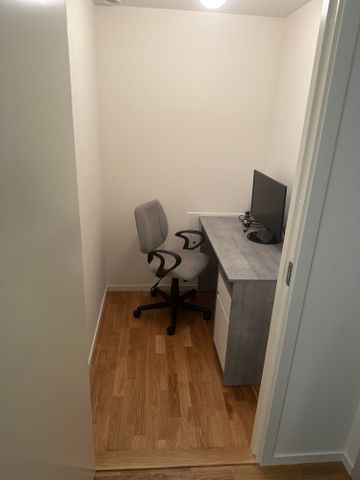 Gaffelseglet, Vega - Photo 5