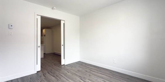 Studios Modernes Métro Viau 940$/mois - Photo 3