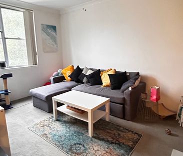 Chippendale - Photo 4