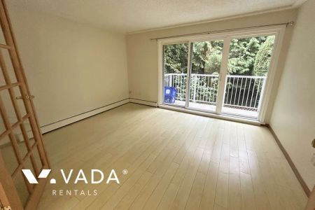 1 Bedroom Apartment For Rent in Richmond - Photo 5