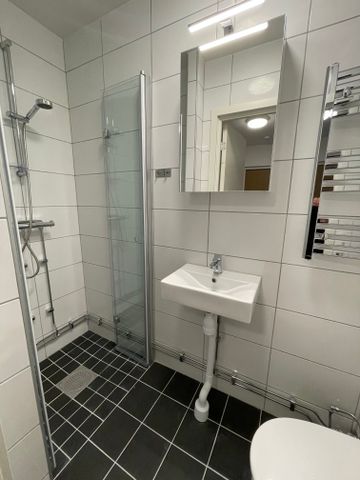 Ollenicklas väg, Vänersborg - Photo 5