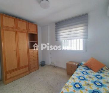 Casa adosada en alquiler en Calle Monaguillo, cerca de Calle Frascuelo - Photo 4