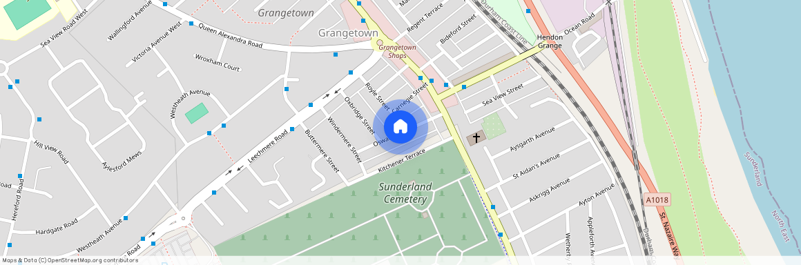 Oswald Terrace, Sunderland SR2