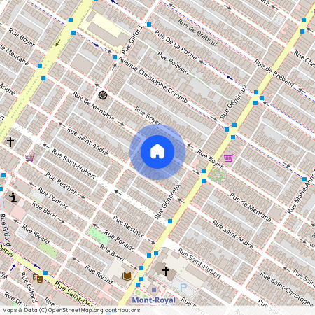 4560 Rue de Mentana, Le Plateau-Mont-Royal (Montréal), H2J3B8