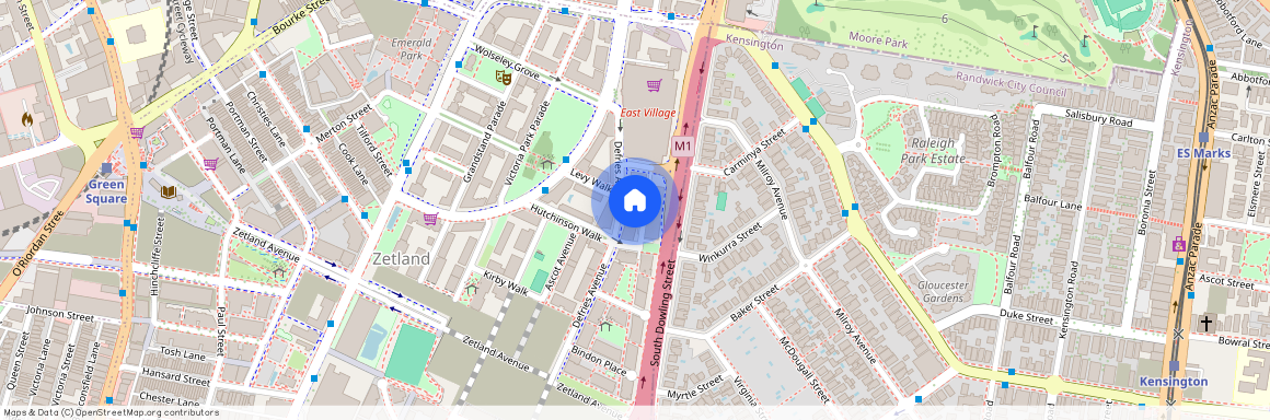 6 Defries Avenue, Sydney, New South Wales 2017