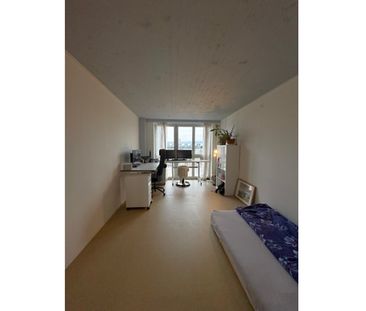 3½ Zimmer-Wohnung in Winterthur - Stadt, möbliert, auf Zeit - Photo 5