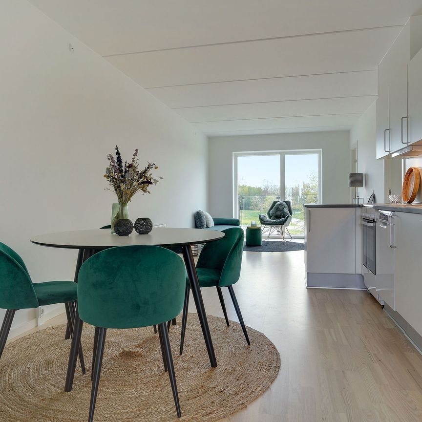 Moderne lejebolig i Odense M med stor tagterrasse - perfekt til den studerende/delebolig - Photo 1