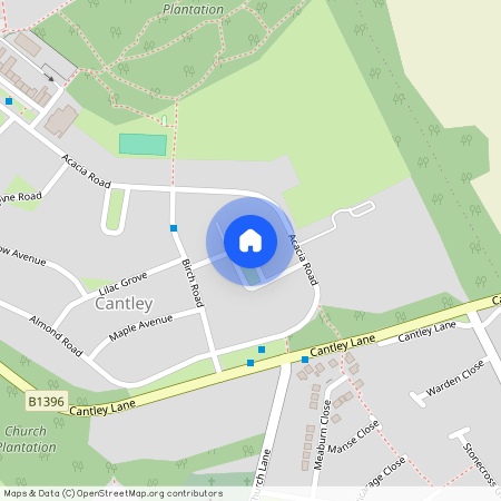 Sycamore Grove, Cantley, DN4