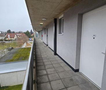 PROVISIONSFREI! - Photo 5