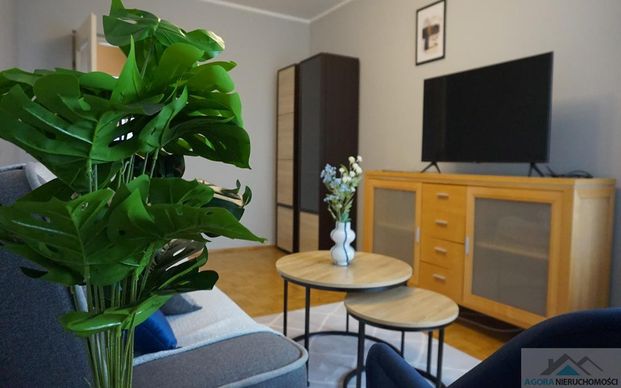 Mieszkanie do wynajęcia, Płock, Podolszyce Południe - Photo 1