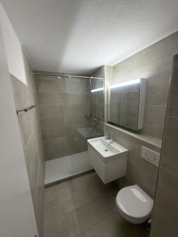 Rent a 3 rooms apartment in Hinwil - Photo 2