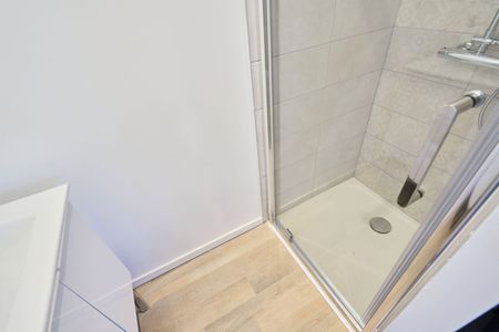 SEMARD Roommate 4 Bedrooms at Nancy - Photo 5