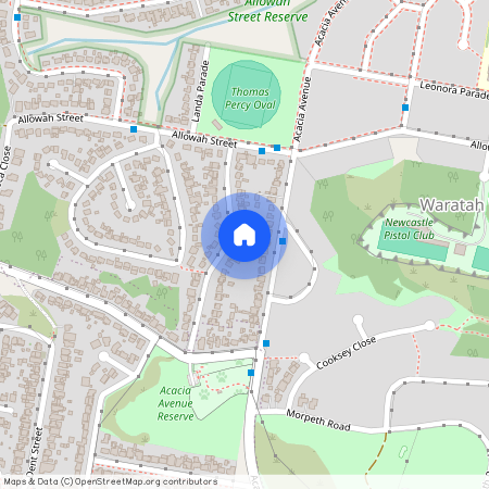 21 Parkhill Parade, NSW 2298, Waratah West