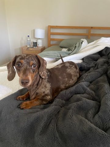 Parramatta - Photo 5