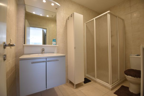 Instapklaar gelijkvloers appartement met zonnig terras en carport te huur - Foto 1