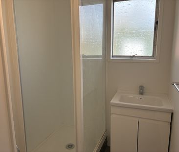Just Upgraded 2 bedroom St Lukes Location - Photo 4