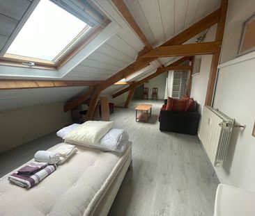 LAVAL, appartement T2bis meublé de 58.37m² - Photo 4