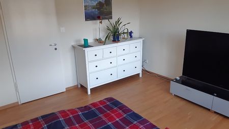 3½ Zimmer-Wohnung in Uster (ZH), möbliert, auf Zeit - Photo 5