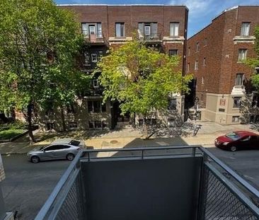 Vivre au centre de tout- 1 ch. -2 min de McGill & Mont-Royal - Photo 2