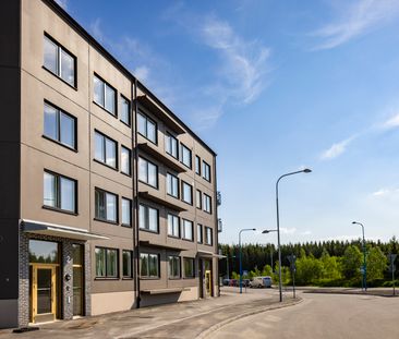 Meterorvägen, Storvreta - Foto 2