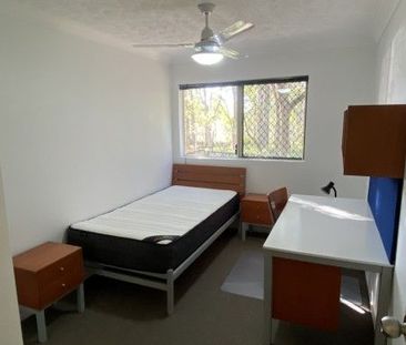 1 Bedroom $300 p.w. Ashmore - Photo 6