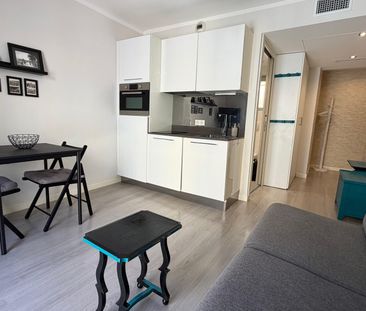 Location Appartement 1 pièce 21m² NICE 06300 - Photo 3