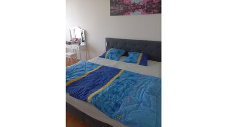 3½ Zimmer-Wohnung in Alpnachstad (OW), möbliert, auf Zeit - Photo 4