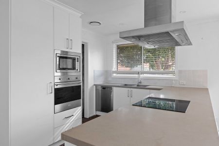Spacious Modern Unit - Photo 3