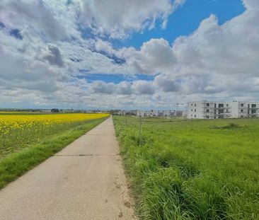 Wohnen im Grüngürtel - energieeffiziente Erstbezug in Bierstadt - Foto 1