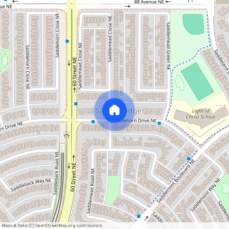 6204 Saddlehorn Drive NE, Calgary NE