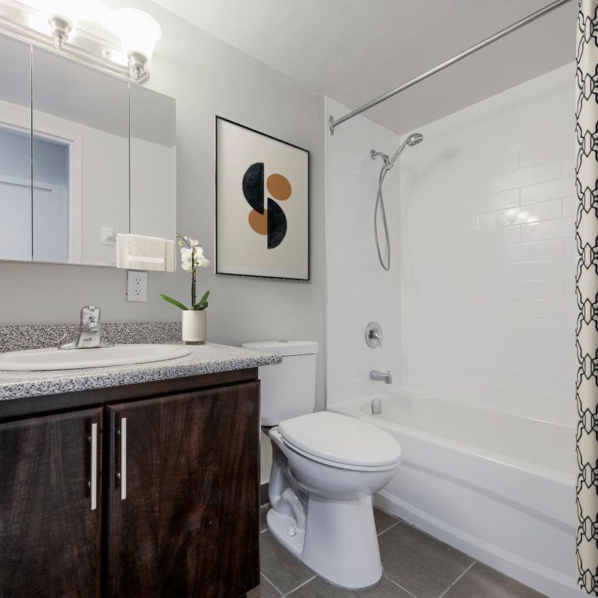Junior One Bedroom - Photo 1